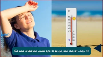 41 درجة.. الأرصاد تحذر من موجة حارة تضرب محافظات مصر غدًا